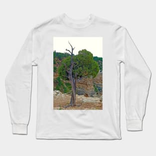 Grand Canyon Tree Study 4 Long Sleeve T-Shirt